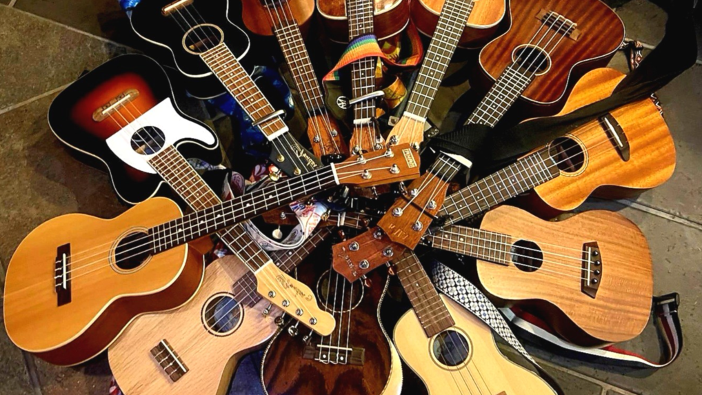 MUGS/ Marino Ukulele Group at the Cat & Cage Folk Club. 74 Drumcondra Road Upper D09 X620